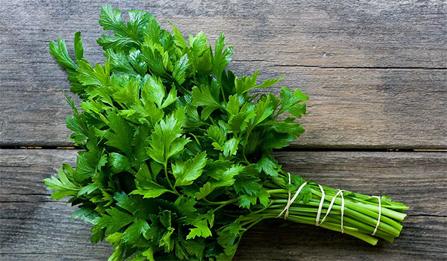 Целебная сила зелени с огорода